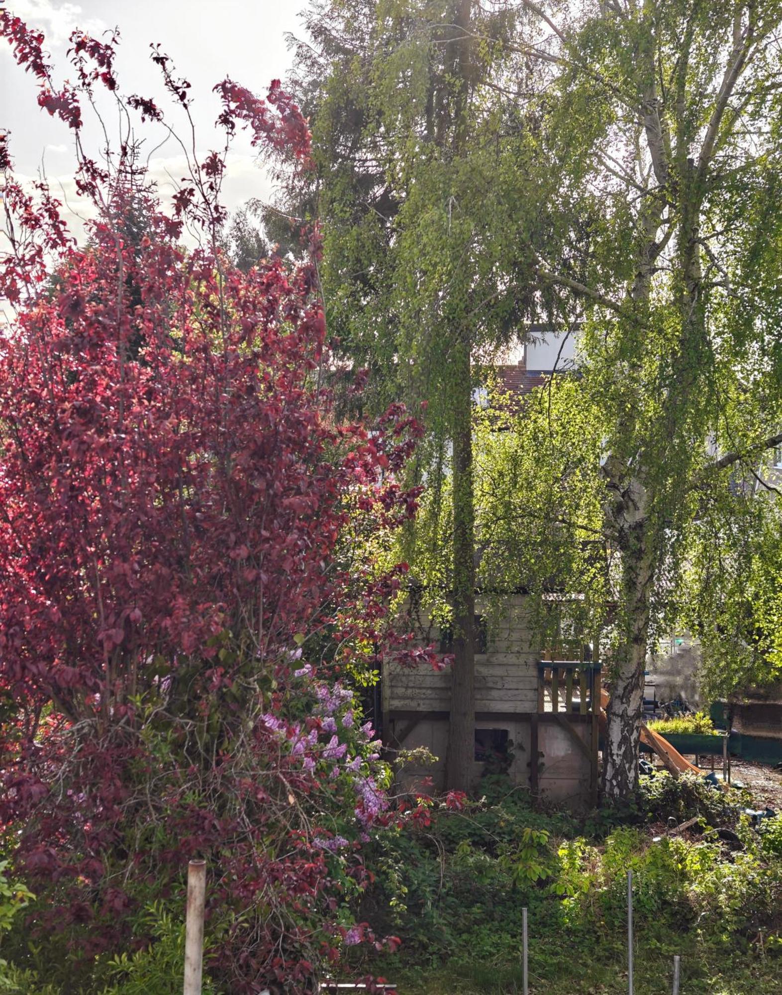 Accommodatie bij particulieren Headington Haven Oxford